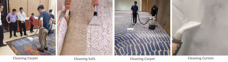 Widely Used Mobile Portable Cordless Carpet/Rug/Sofa/Curtain Vacuum Steam Vapor Cleaning Washing Machine for Home/Hotel/Office/Cinema
