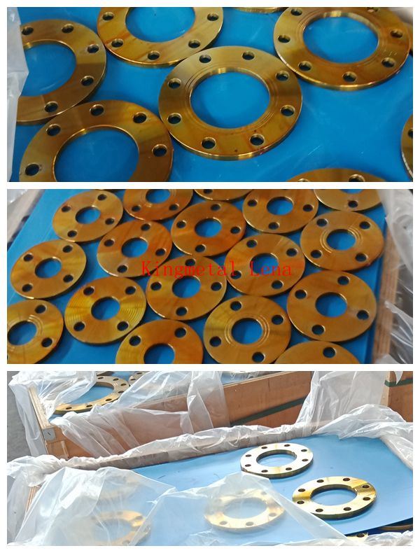 Stock Carbon Steel SL Bl Wn Flanges in Stock with Good Prices