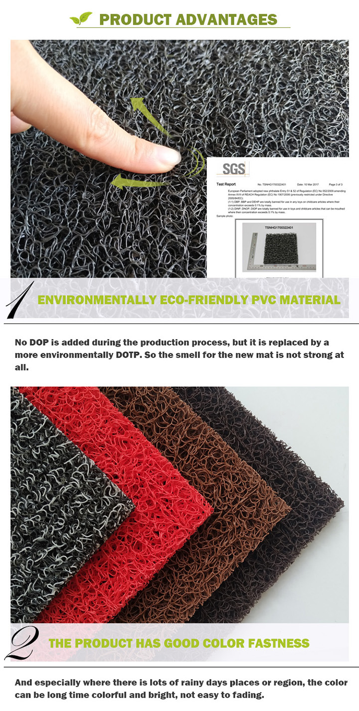 Environmental PVC Material Coil Foot Mat for Indoor and Outdoor Door Mat/ Anti-Slip Mat/Capter/Pvcmat/Hotel Door Mat /Wool Carpet/