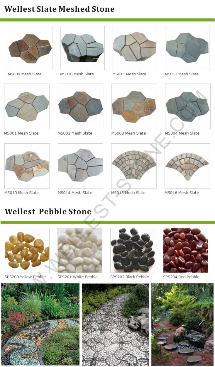 Mix Color Granite Fan Shaped Paving Stone, Natural Stone Pattern Carpet