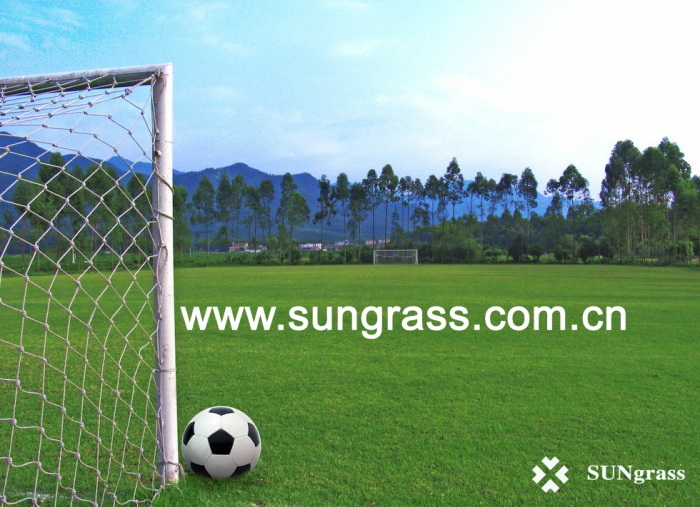 50mm Football/Sport Artificial Turf Synthetic Turf Recreation Turf Fake Turf for Gym Equipment