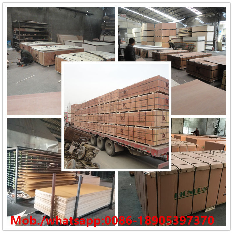 CDX Grade Pine Plywood for Packing 12mm