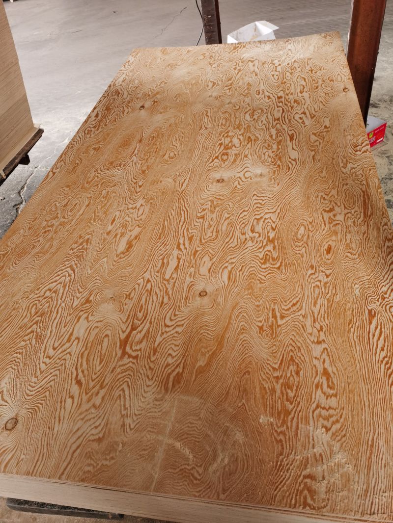 Factory-14.5mm 17.5mm Embossed Larch Plywood for Decoration