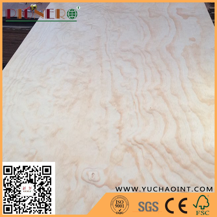18mm Radiata Pine Plywood From Linyi