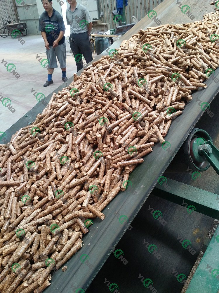 Yulong Complete Wood Pellet Working Machinery for Sale