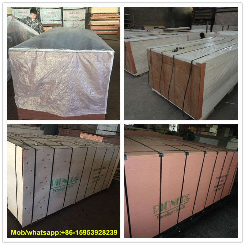 High Quality Film Faced Plywood Manufactured by Linyi Factory