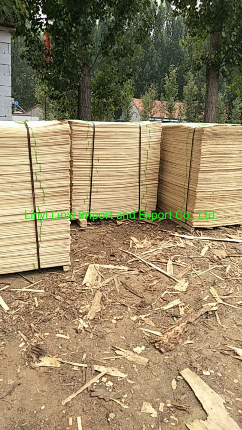 AAA Graderecon Poplar Wood Veneer for Plywood Producing