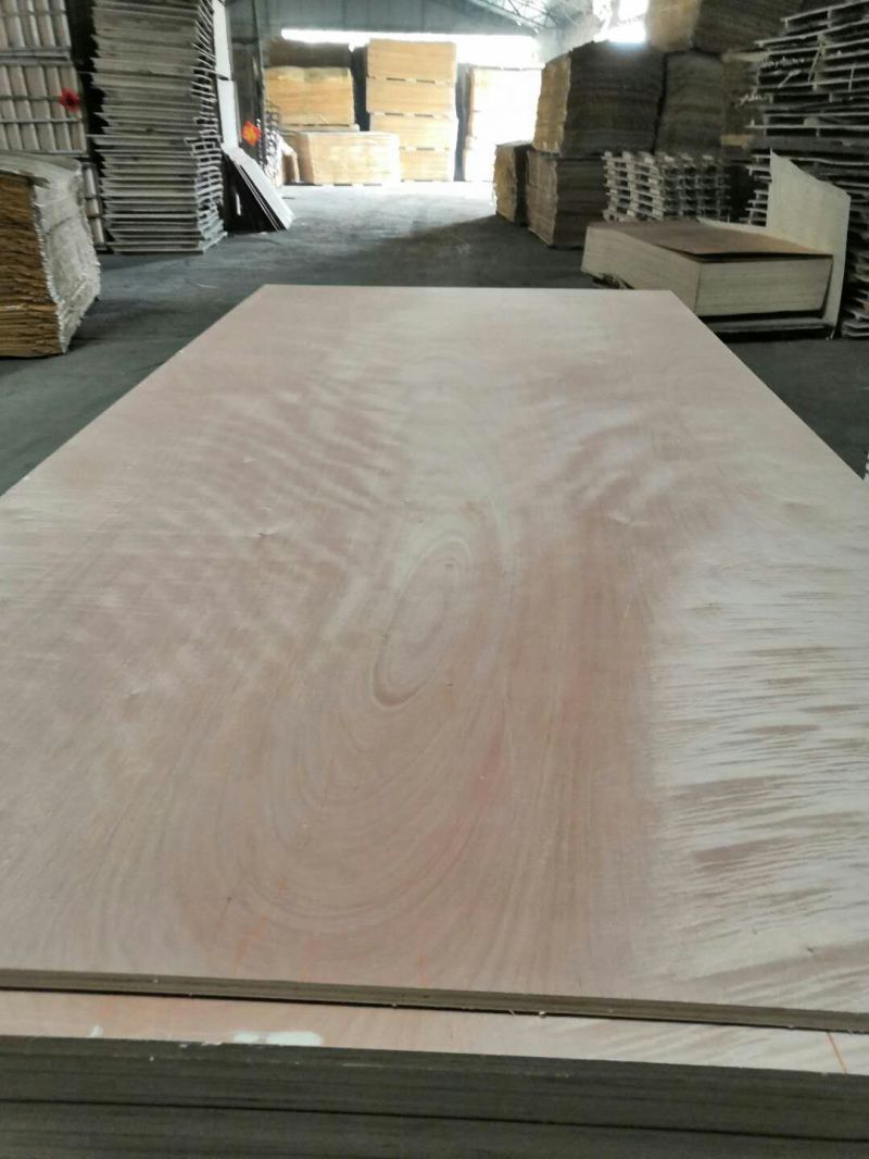 Maple Plywood with Red Wood Timber Sheet for Wall