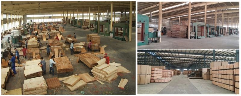 Teak Furniture Plywood and Composite Wood for Plywood Prices