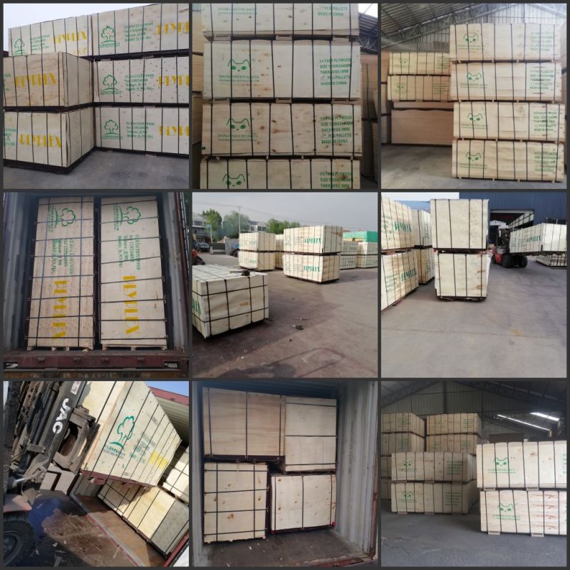 China Supplier Lumber LVL Pallet Timber Wood for Making Pallets