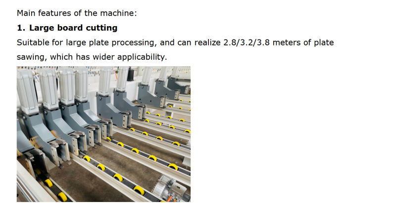 Woodworking Machine Automatic Horizontal Automatic Feeding CNC Panel Saw Rcj3200A