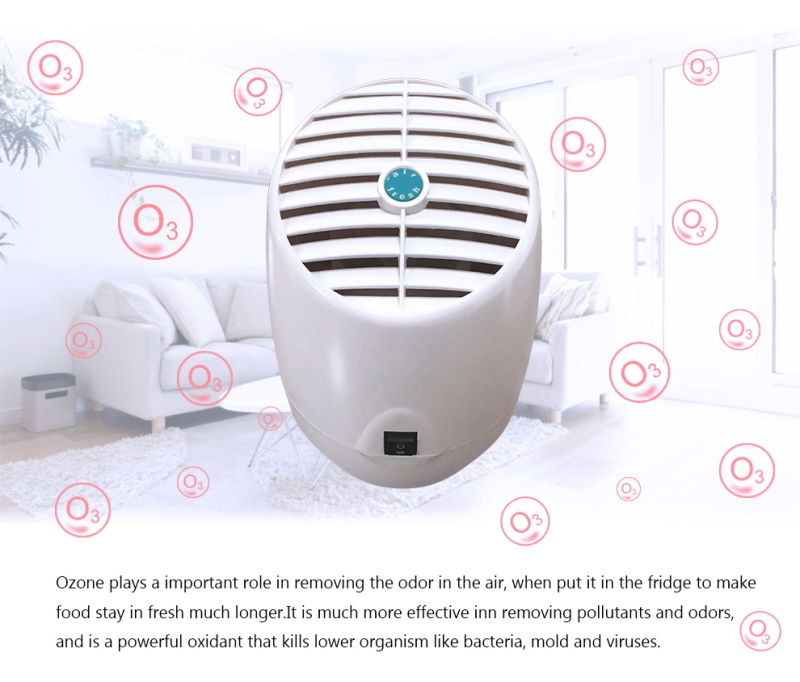 Multifunction Aroma Diffuser Home Ionizer Ozone Air Purifier for Home