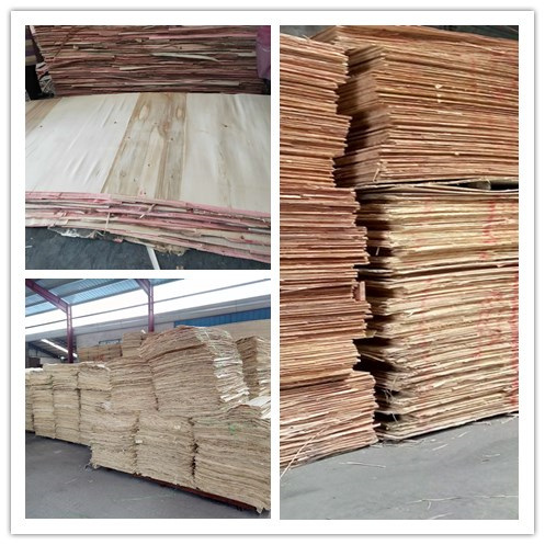 Pine Wood Lumber Radiata Pine Plywood for Sale