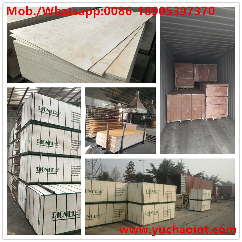 CDX Grade Pine Plywood for Packing 12mm