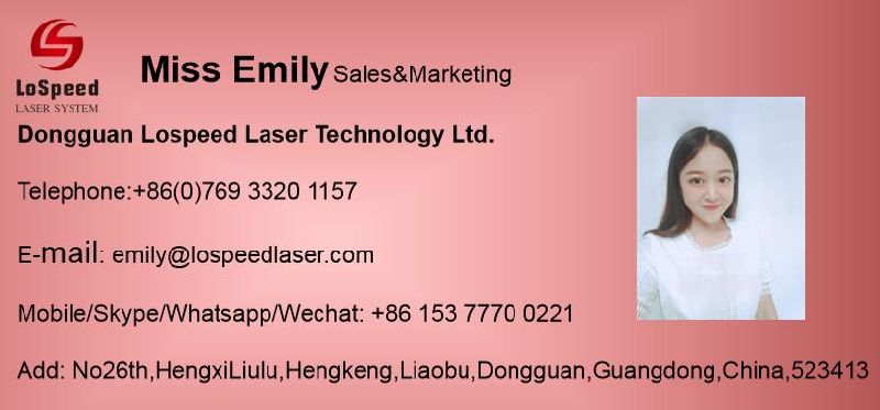 Bearing Laser Etching Machine Metal Laser Marker Desktop Model with PC