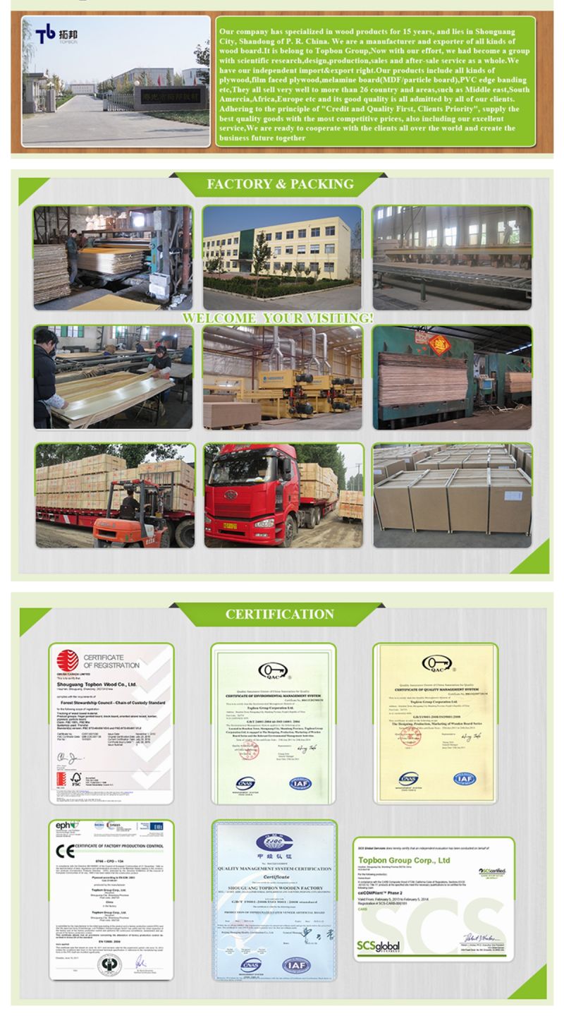 Lumber/Timber/Woods/ Poplar Plywood From Linyi City