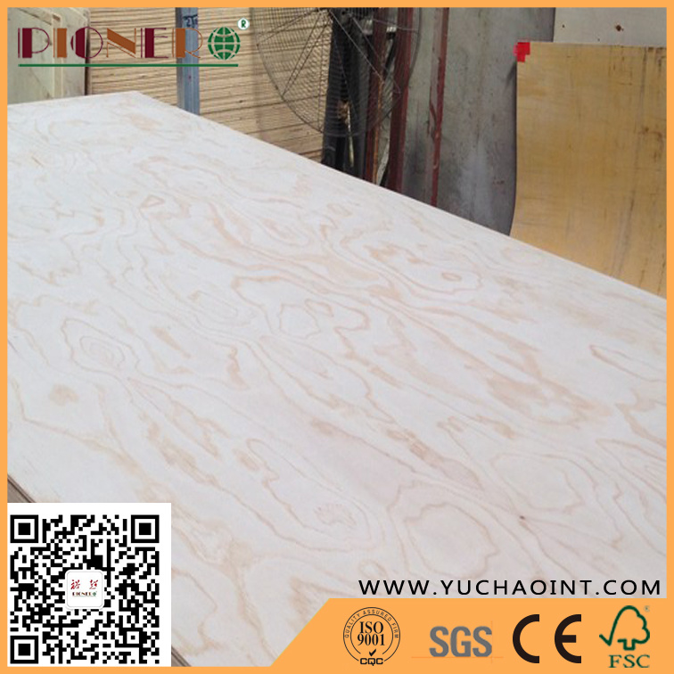 18mm Radiata Pine Plywood From Linyi