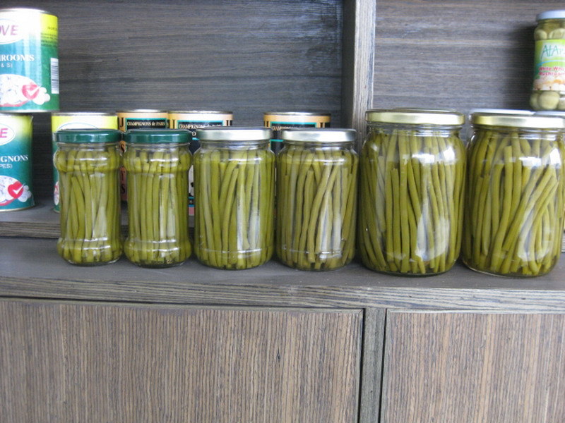 Vegetable Canned Green Bean Cut with Best Price