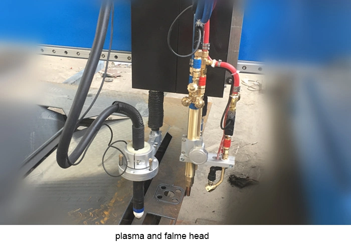2040 Gantry Plasma Cutting Machine with Flame Head Also Plasma Cut Head