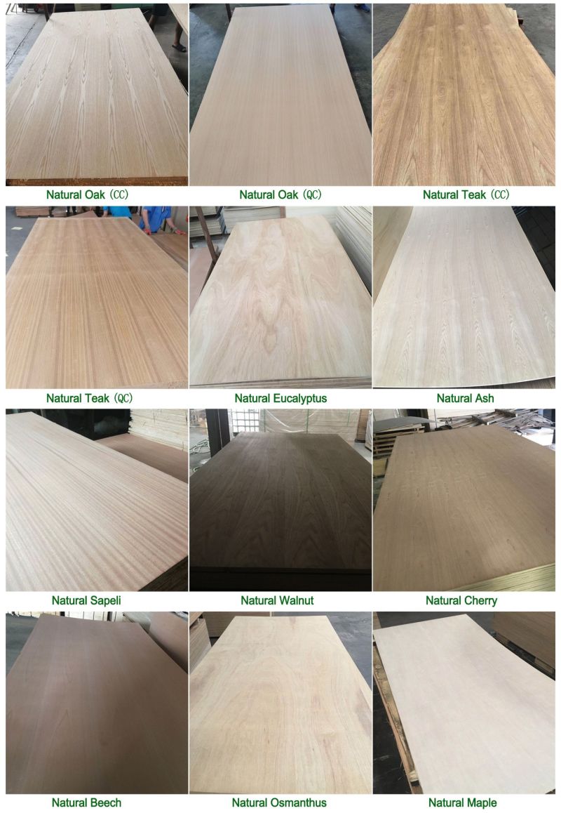 Teak Furniture Plywood and Composite Wood for Plywood Prices