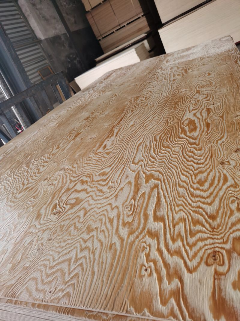 Factory-14.5mm 17.5mm Embossed Larch Plywood for Decoration