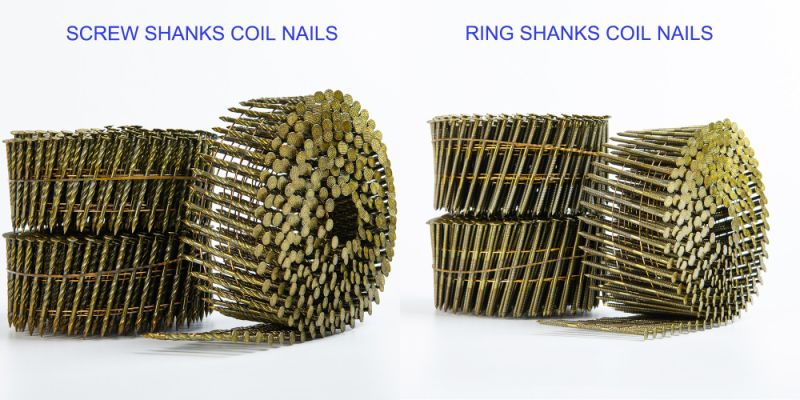 Wooden Pallet Screw Shank Coil Nails for Pneumatic Tools