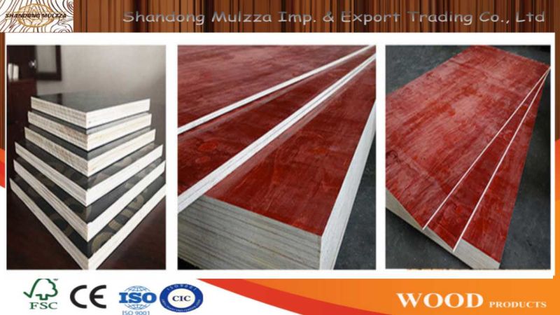 Custom Melamine Plywood/Commerical Plywood for Building Material