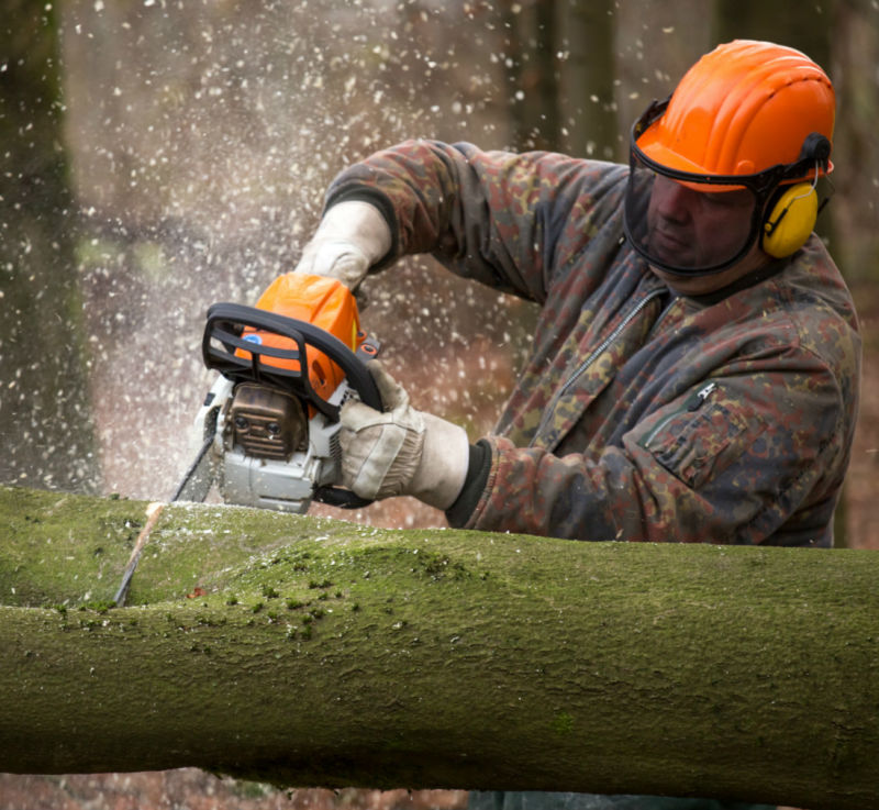 Gasoline Chainsaw 41cc for Garden Tools Wood Cutting Machine