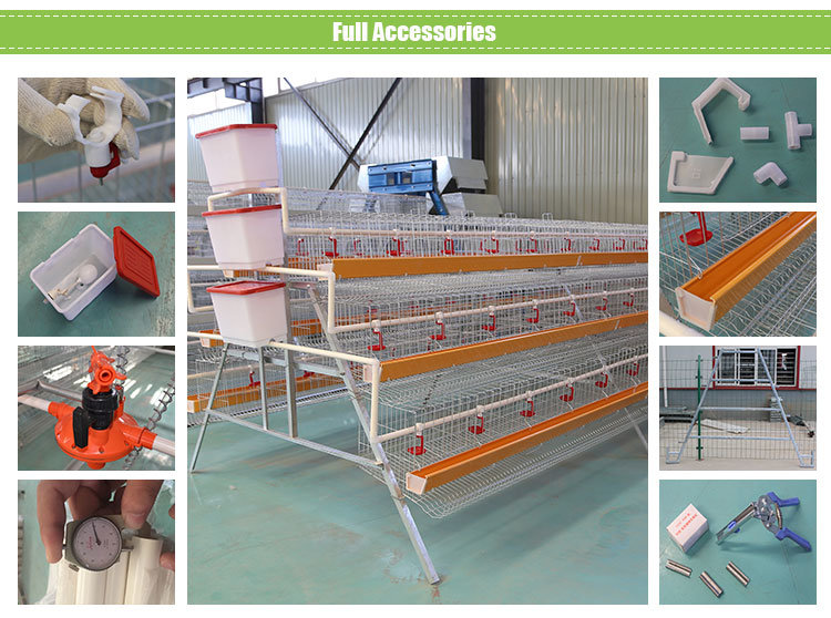 Hot Sale Poultry Farm a Type 3 Tiers 4 Tiers Layer Chicken Battery Cage