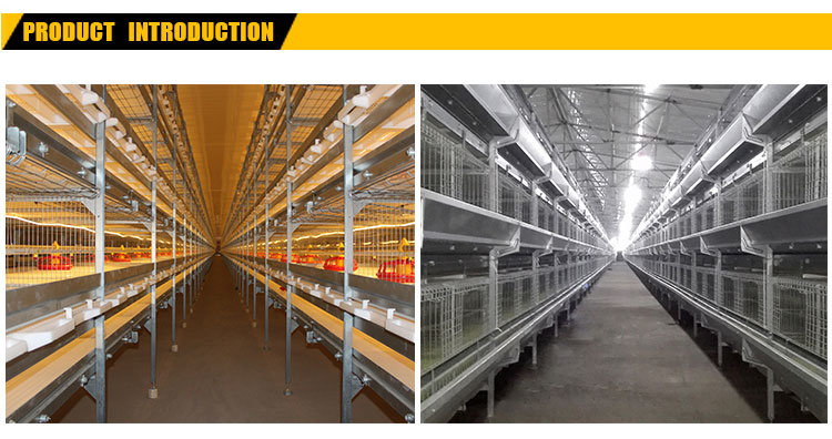 3 Tiers 4 Tiers H Type Modern Design Poultry Farm Shed Automatic Chicken Broilers Cage System