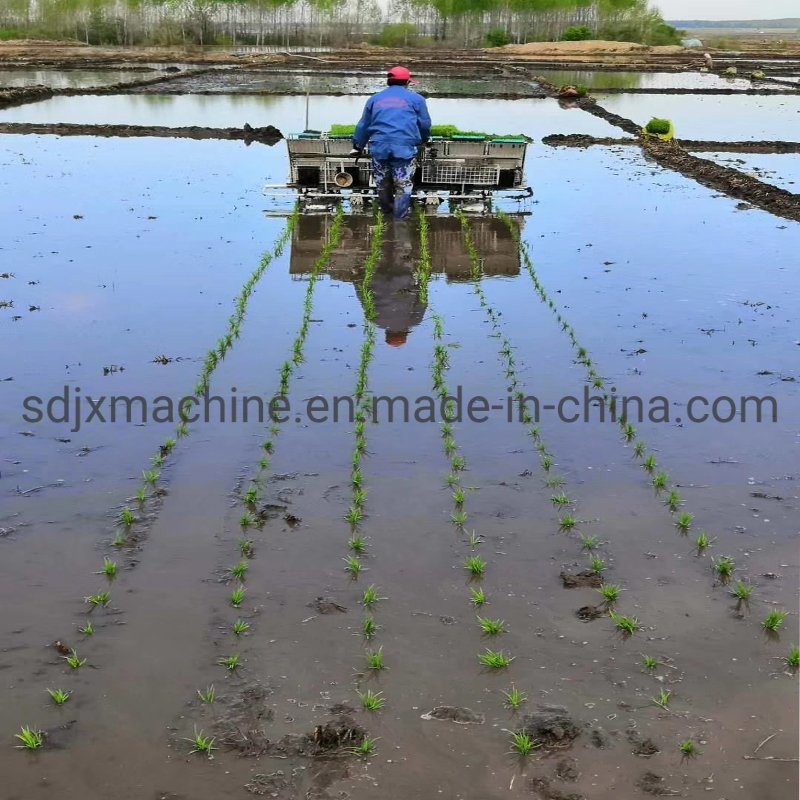 4 Rows 6 Rows Walk-Behind Rice Transplanter/Gasoline Powered Rice Transplanter
