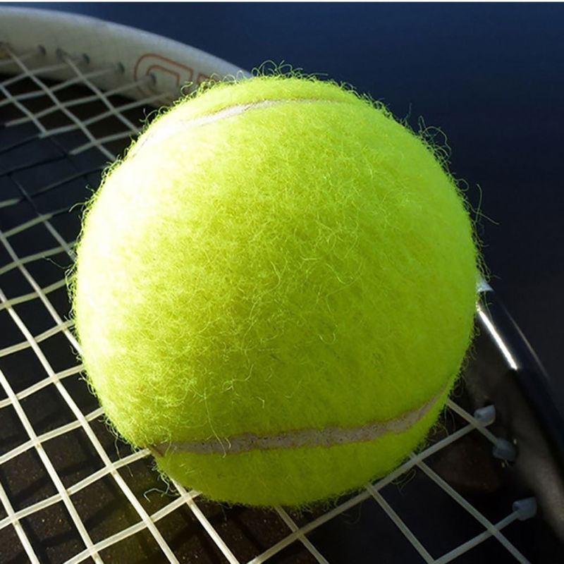 Penn Championship Tennis Balls - Regular Duty Felt Pressurized Tennis Balls