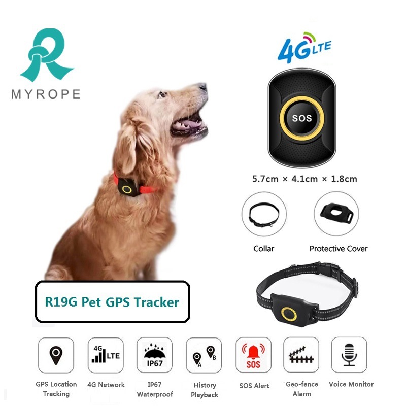 Factory OEM Waterproof Pet GPS Tracker G12p with Free Leather Collar Support APP Web SMS Tracking System for Dog/Cat