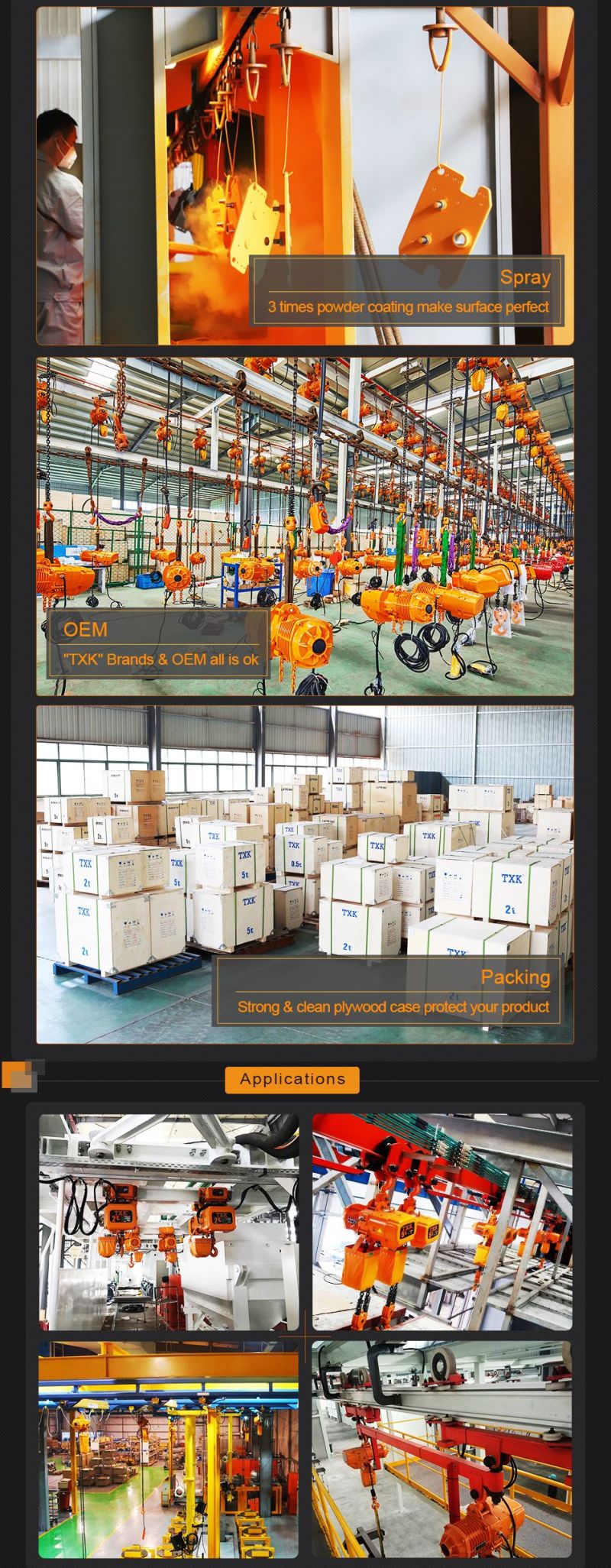 Golden Supplier Electric Chain Hoist with Trolley