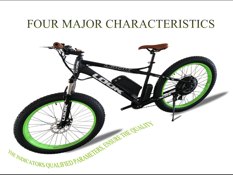 Newest 1000W Newest Lithium Battery Electric Fat Tyre Bike