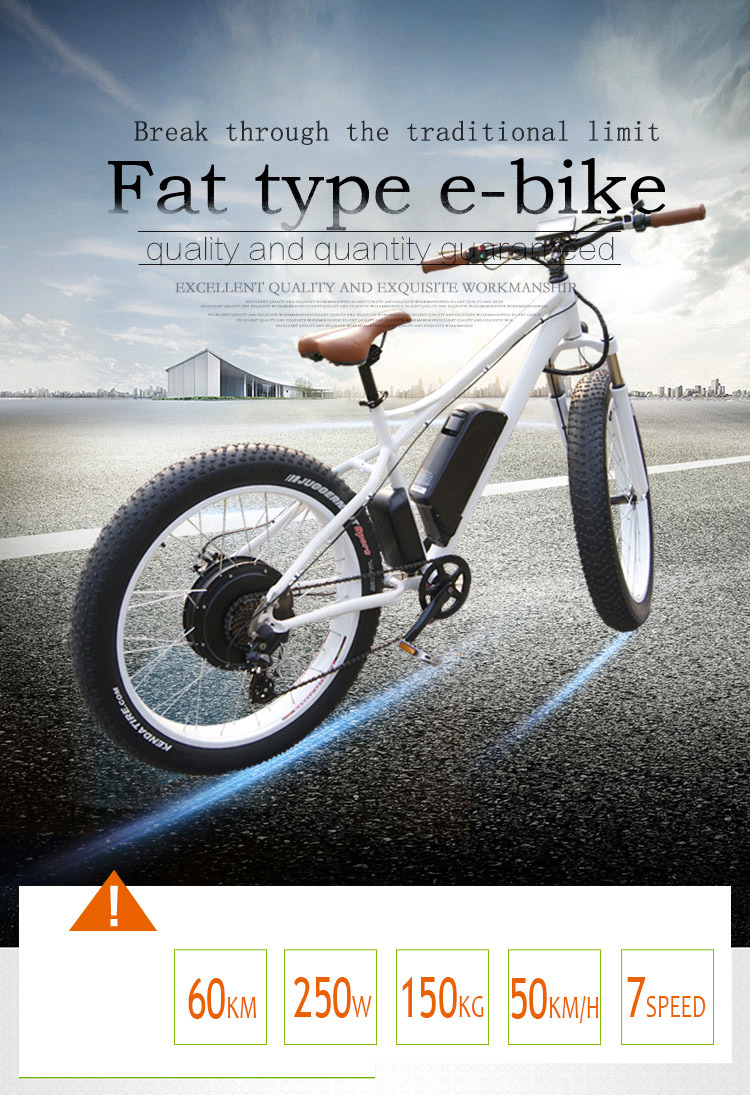 Newest 1000W Newest Lithium Battery Electric Fat Tyre Bike