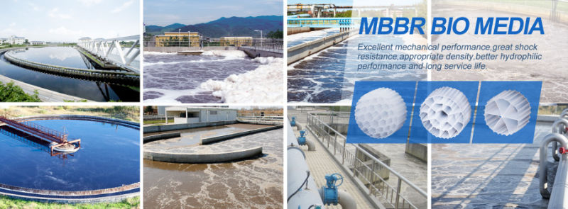 Mbbr Bio Media PE63 for Ras Freshwater Aquaculture Water Treatment