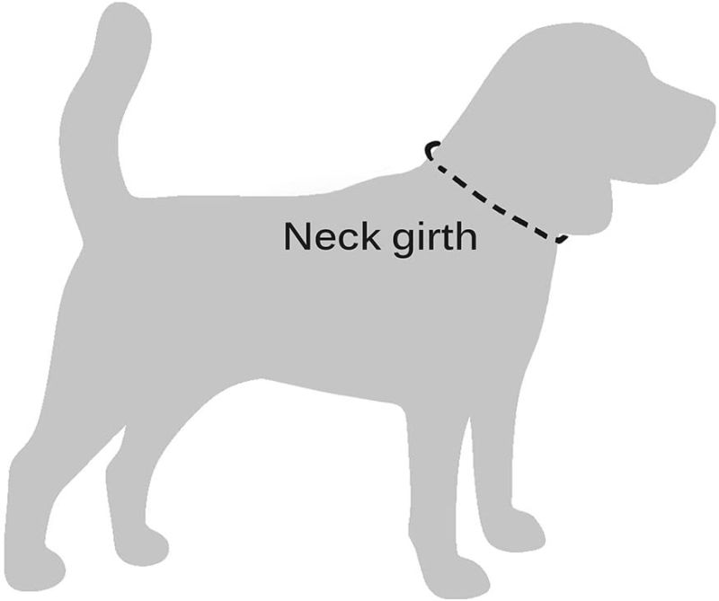 Soft Padded Round Puppy Collar, Handmade Genuine Leather Dog Collar