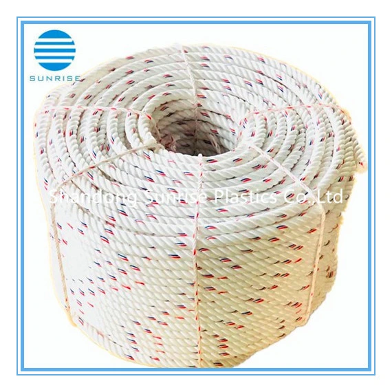 PP Ropes / PP Danline Ropes/PP Rope Beige with Red/PE Rope/Nylon Rope/Tying Rope/Polyester Rope/Ppd/Mooring Rope/Plastic Rope