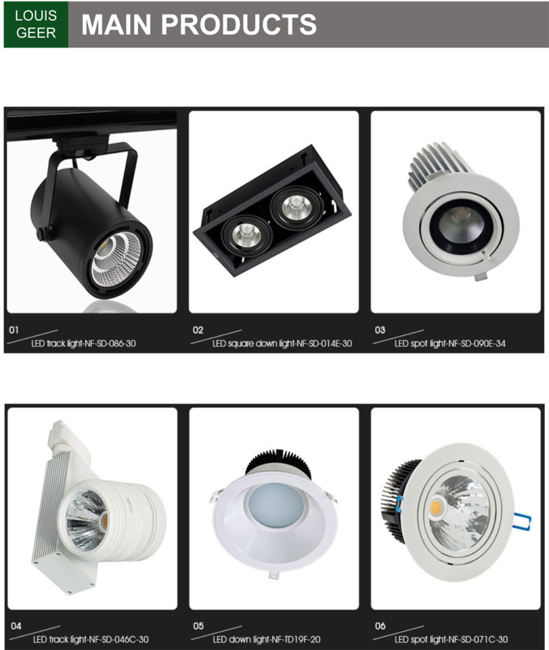 2020 35W New Design Round Ceiling Light Home Light Round Recessed CE RoHS LED Spot Light