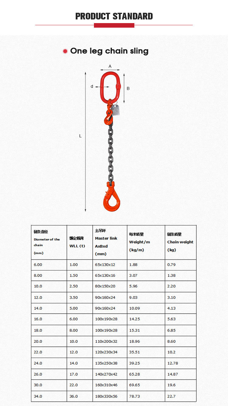 Hoisting Accessories Stainless Steel Wire Rope Sling/Lifting Chain