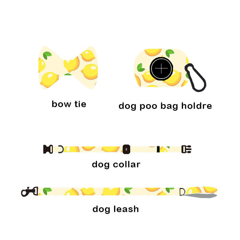 High Quality Adjustable Custom Leash Set Customize Dog Collar Dog Harness