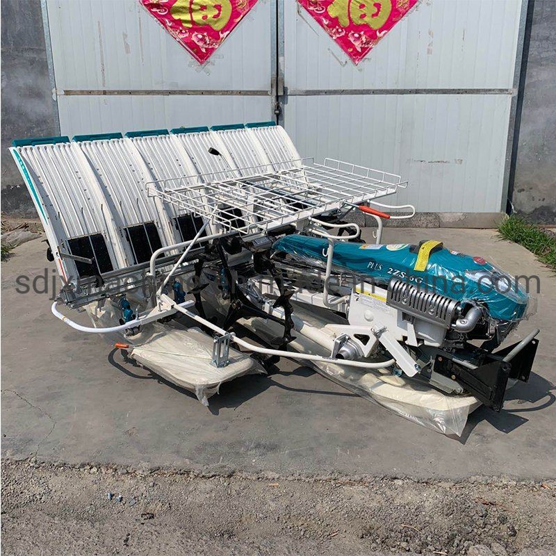 Walking Type Behind 4 Rows 6 Rows Automatic Mechanical Rice Transplanter