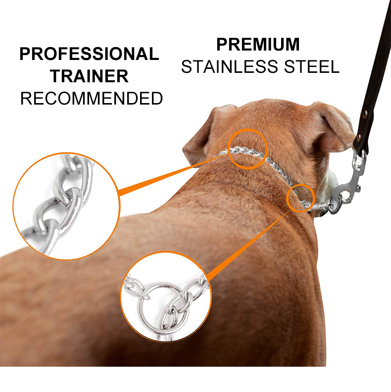 Choke Collar Dog Cat Fine Chains Necklace Chain Collar