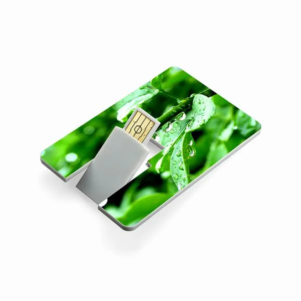 Wholesale Full Color Printing Swivel Credit Card USB Flash Drive