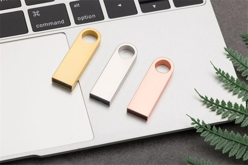 Customized USB 2GB 4GB 8GB USB Flash Drive Brand Custom USB 2.0/3.0 Pen Drive/USB Stick/USB Flash Drives