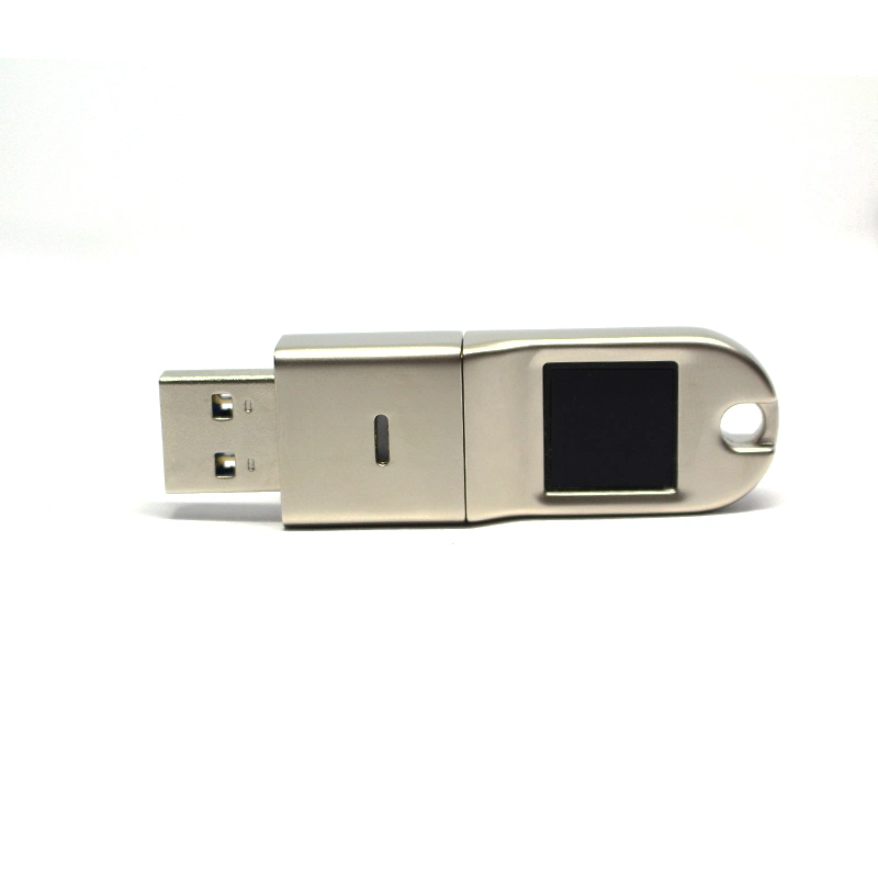 New Model Fingerprint Encryption USB Flash Drive/USB Stick/USB Disks/USB Pen Drive 3.0