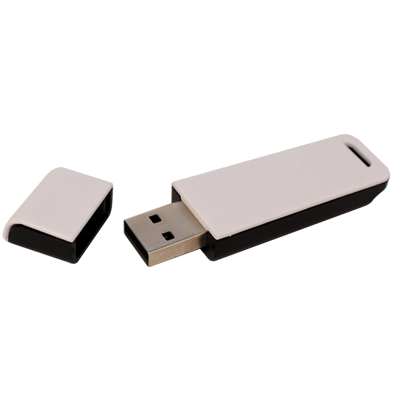 Promotional Gift USB Flash Drive 2GB 4GB 8GB USB 2.0 Pendrive 3.0 32GB 64GB USB Pen Drive /Pen Drive/USB Flash Disks