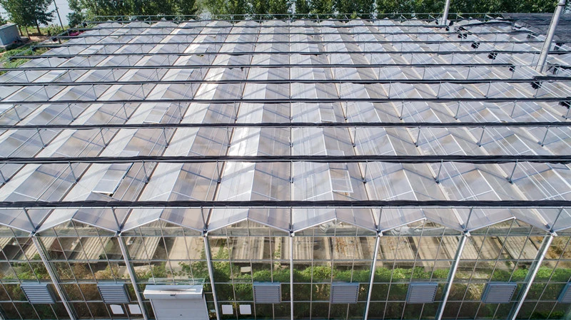 75% Shading Alium Foil Shade Net for Greenhouse / PE Cover Sun Shade Netting