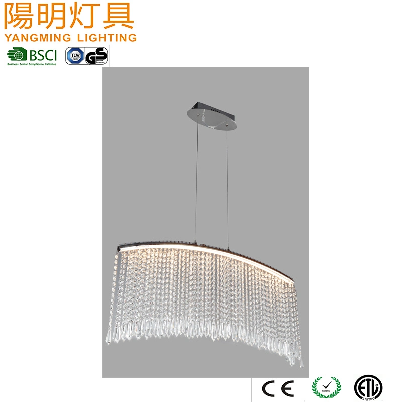 Rainny Decorative Hanging Pendant Lamp / Hotel Lobby LED Crystal Lamp